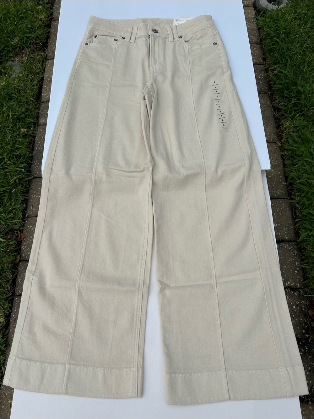 NWT🌷American Eagle Outfitters Low-Rise Baggy Wide Leg Pants in Cream/ Ecru - Picture 2 of 8